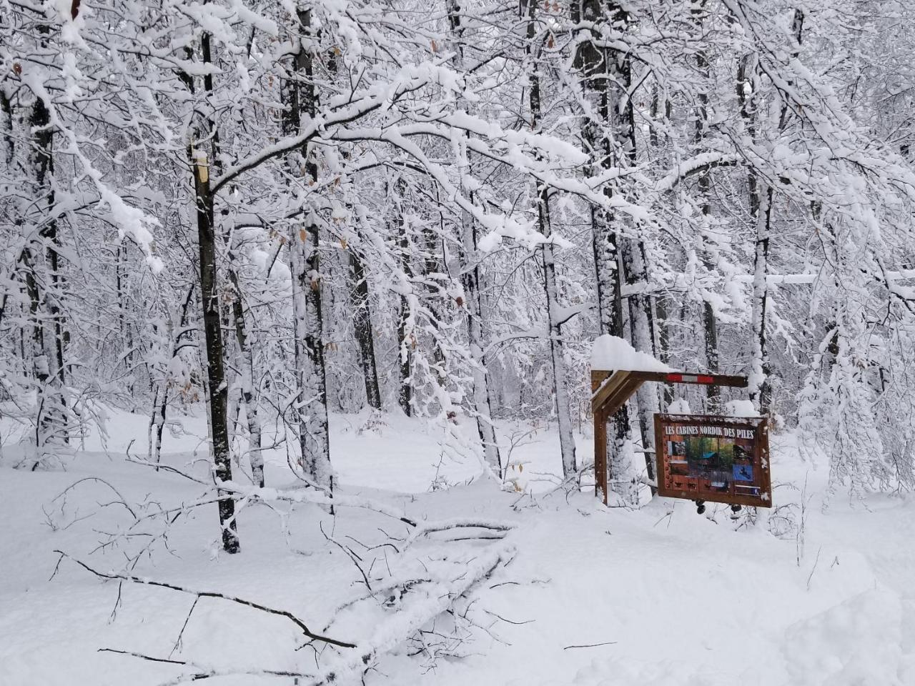 Willa Les Cabines Nordik Des Piles Saint-Jean-des Piles Zewnętrze zdjęcie