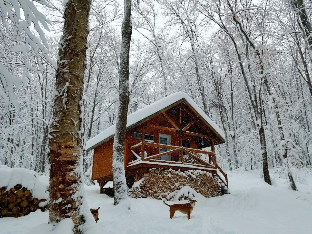 Willa Les Cabines Nordik Des Piles Saint-Jean-des Piles Zewnętrze zdjęcie